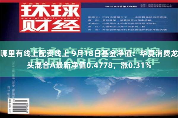 哪里有线上配资线上 9月18日基金净值：华夏消费龙头混合A最新净值0.4778，涨0.31%