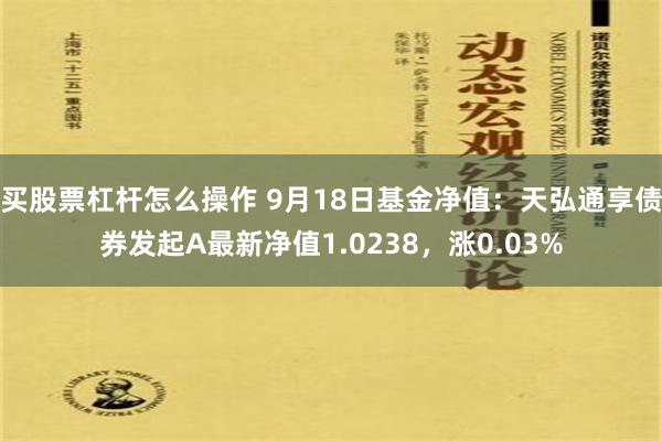 买股票杠杆怎么操作 9月18日基金净值：天弘通享债券发起A最新净值1.0238，涨0.03%