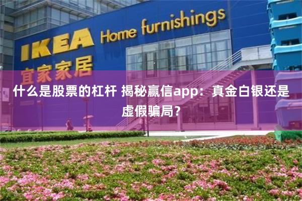 什么是股票的杠杆 揭秘赢信app：真金白银还是虚假骗局？