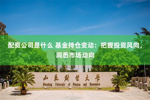 配资公司是什么 基金持仓变动：把握投资风向，洞悉市场动向