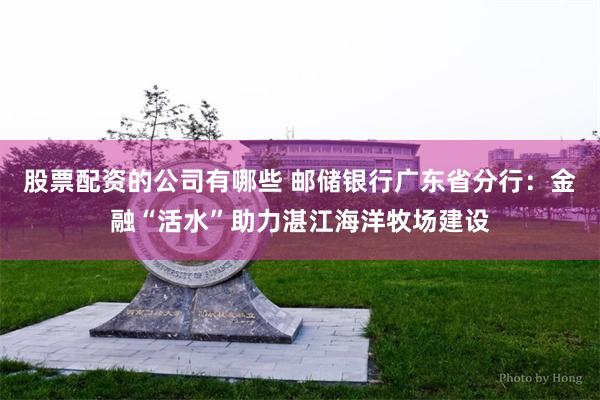 股票配资的公司有哪些 邮储银行广东省分行：金融“活水”助力湛江海洋牧场建设