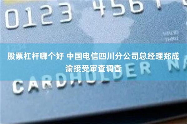 股票杠杆哪个好 中国电信四川分公司总经理郑成渝接受审查调查