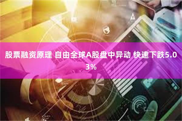 股票融资原理 自由全球A股盘中异动 快速下跌5.03%