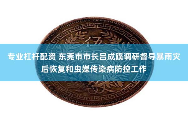 专业杠杆配资 东莞市市长吕成蹊调研督导暴雨灾后恢复和虫媒传染病防控工作