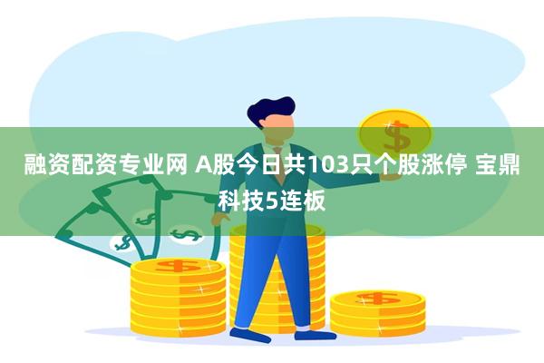 融资配资专业网 A股今日共103只个股涨停 宝鼎科技5连板
