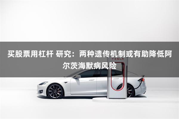 买股票用杠杆 研究：两种遗传机制或有助降低阿尔茨海默病风险